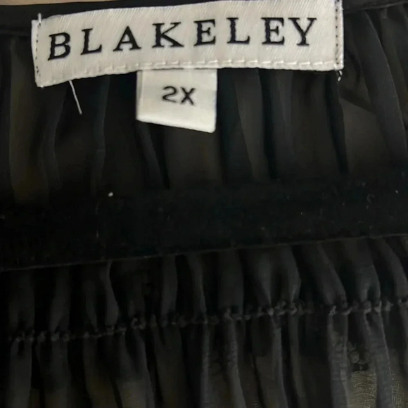 Blakely Amelia ruched sheer black top in plus 2X - Picture 4 of 5